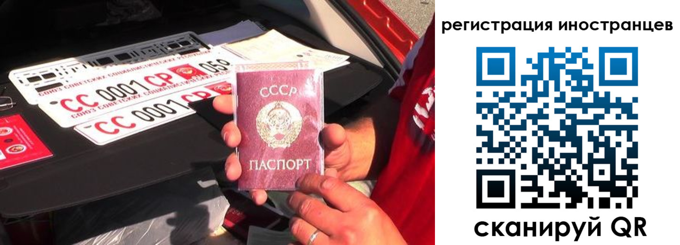 прописка гарантия в Электрогорске